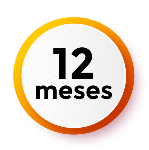 Service 12 Mois