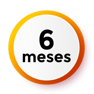 Service 6 Mois