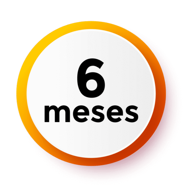 Service 6 Mois